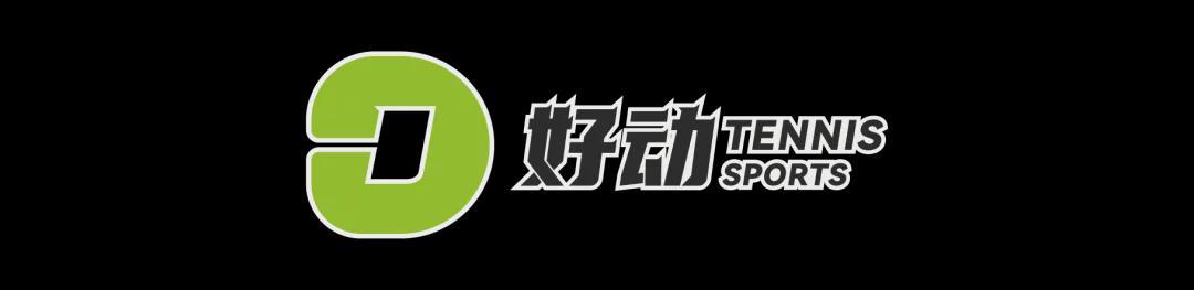 爱游戏体育-史上第二高价格 美网冠军奖杯被拍卖 前世界第一破产后 荣耀也成抵债品
